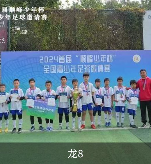关于龙8